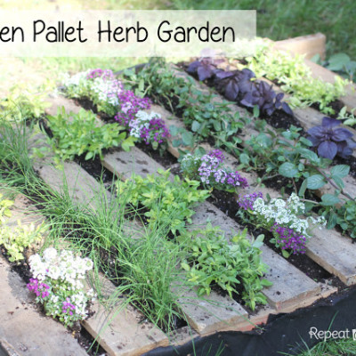 Wooden Pallet Herb Garden