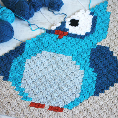 Crochet C2C Baby Blanket with Lion Brand Yarn