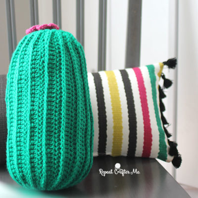 Crochet Cactus Pillow and Yarnspirations Green House Lookbook