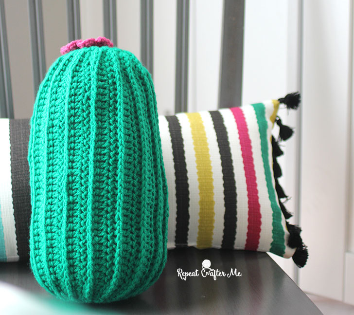 crochet cactus pillow and - cactus cat roblox