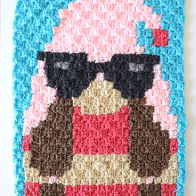 August Summer Gnome C2C Crochet