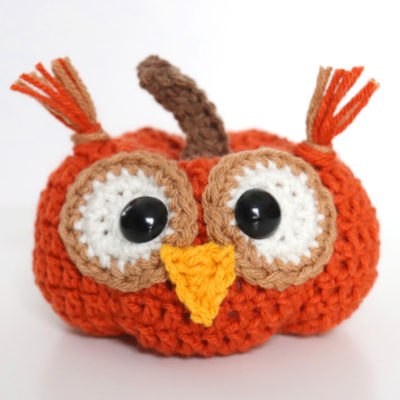 Crochet Owl Pumpkin