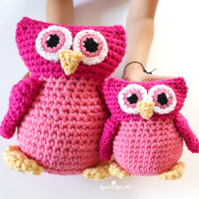 Ollie the Owl with Crochet Cartoon Eyes and Red Heart Super Saver Yarn