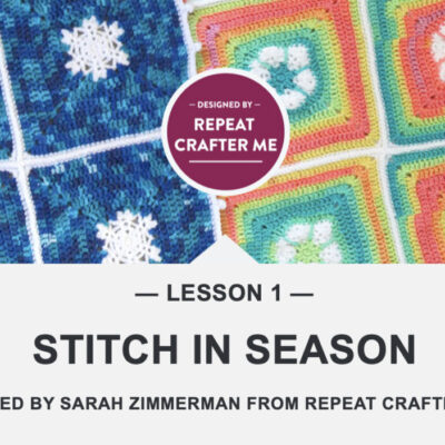 Lesson 1: Stitch in Season CAL