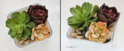 Dollar Store Faux Succulent Pots - Repeat Crafter Me